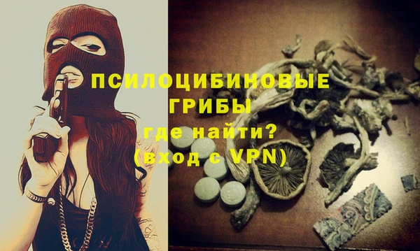 мяу мяу мука Гусев