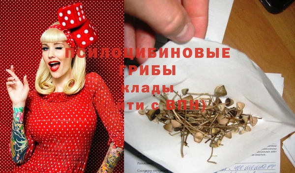 мяу мяу мука Гусев